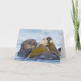 Zwei Kalifornien-Seeotter Karte
