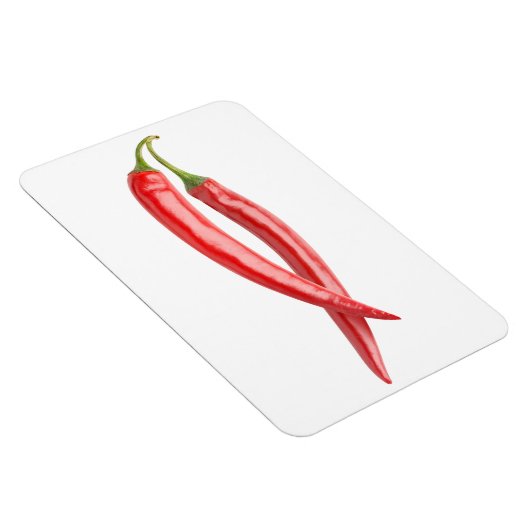 Zwei Kälte Magnet (Rechte Seite)