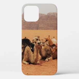 ZWEI KAMEL AUF BROWN SAND IN DER NÄHE VON MOUTAINS Case-Mate iPhone HÜLLE