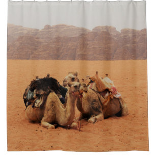 ZWEI KAMEL AUF BROWN SAND IN DER NÄHE VON MOUTAINS DUSCHVORHANG
