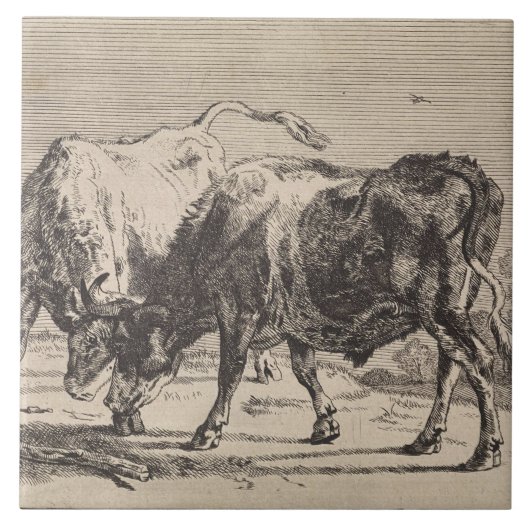 Zwei Kampfstiere (von Paulus Potter) Fliese (Vorderseite)