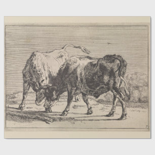 Zwei Kampfstiere (von Paulus Potter) Geschenkpapier