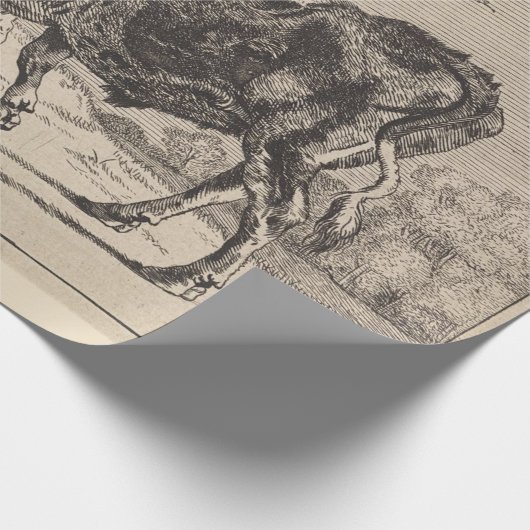 Zwei Kampfstiere (von Paulus Potter) Geschenkpapier (Ecke)