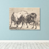 Zwei Kampfstiere (von Paulus Potter) Leinwanddruck (Insitu (Holzboden))