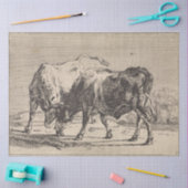 Zwei Kampfstiere (von Paulus Potter) Seidenpapier (Basteln)