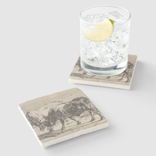 Zwei Kampfstiere (von Paulus Potter) Steinuntersetzer (Seitenansicht)