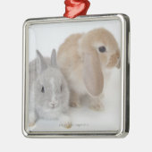 Zwei Kaninchen. Netherland Zwerg-und Ornament Aus Metall (Links)