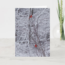 Zwei Kardinäle 7x5 Weihnachtskarte Feiertagskarte