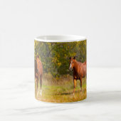 Zwei Kastanien-Pferde im Fall Kaffeetasse (Mittel)