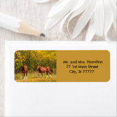 Zwei Kastanienpferde im Herbst (Insitu)