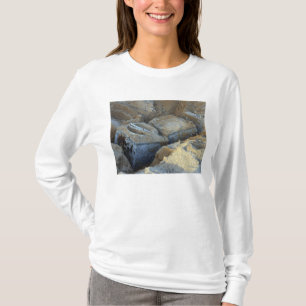 Zwei kastenähnliche Geräte verpackt T-Shirt