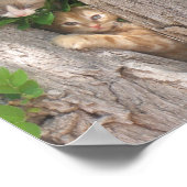 Zwei Kätzchen auf einem Baum Poster (Ecke)