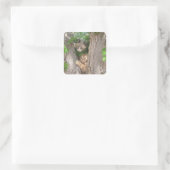 Zwei Kätzchen auf einem Baum Quadratischer Aufkleber (Tasche)
