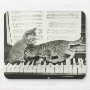 Zwei Kätzchen auf Klaviertastatur (B&W) Mousepad