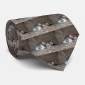 Zwei Kätzchen auf Klotz Krawatte (Gerollt)