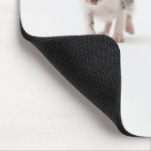 Zwei Kätzchen auf weißem Hintergrund Mousepad (Ecke)