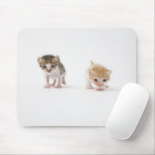 Zwei Kätzchen auf weißem Hintergrund Mousepad (Mit Mouse)