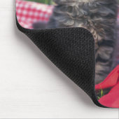 Zwei Kätzchen, die auf einer Rot-Farbigen Decke Mousepad (Ecke)