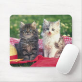 Zwei Kätzchen, die auf einer Rot-Farbigen Decke Mousepad (Mit Mouse)