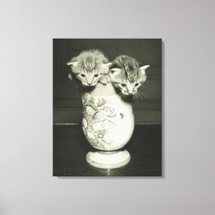 Zwei Kätzchen, die im Vase sich verstecken, (B&W) Leinwanddruck