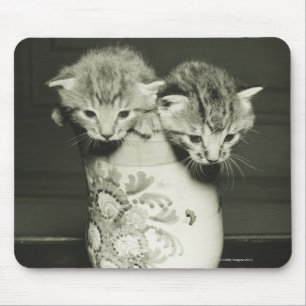 Zwei Kätzchen, die im Vase sich verstecken, (B&W) Mousepad
