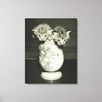 Zwei Kätzchen, die sich in Vase verstecken (B&W)