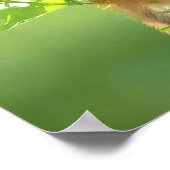 Zwei Kätzchen in einem Baum Poster (Ecke)