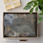 Zwei Kätzchen in einem Korb mit blauem Tuch Seidenpapier (Geschenk)