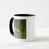 Zwei Kätzchen Kanada-Luchs-(Luchs Canadensis) Tasse (Vorderseite Links)