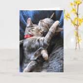 Zwei Kätzchen Karte (Gelbe Blume)