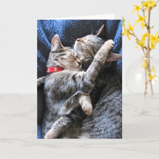 Zwei Kätzchen Karte (Gelbe Blume)