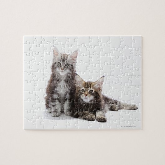 Zwei Kätzchen Maine-Münzkatze Puzzle (Horizontal)
