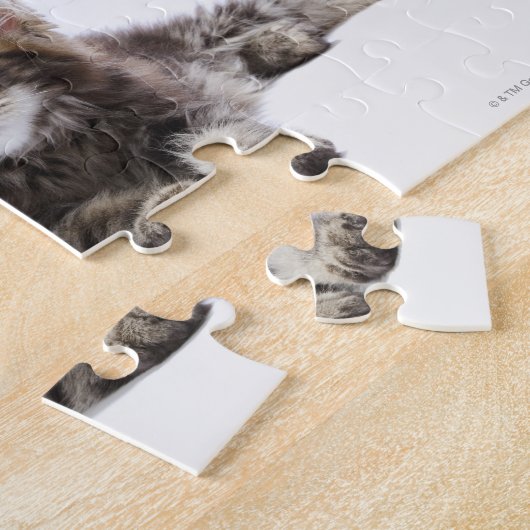Zwei Kätzchen Maine-Münzkatze Puzzle (Seite)