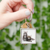 Zwei Kätzchen Maine-Waschbärkatze Schlüsselanhänger (Hand)