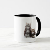 Zwei Kätzchen Maine-Waschbärkatze Tasse (VorderseiteRechts)