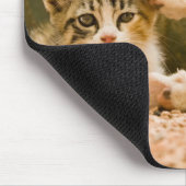 Zwei Kätzchen, Marokko Mousepad (Ecke)