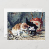 Zwei Kätzchen mit Tee-Party Postkarte (Vorne/Hinten)