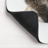 Zwei Kätzchen mit weißem Hintergrund Mousepad (Ecke)
