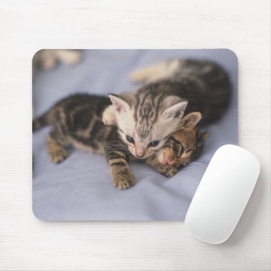 Zwei Kätzchen Mousepad (Mit Mouse)