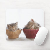 Zwei Kätzchen schlafen in Bowls Mousepad (Mit Mouse)