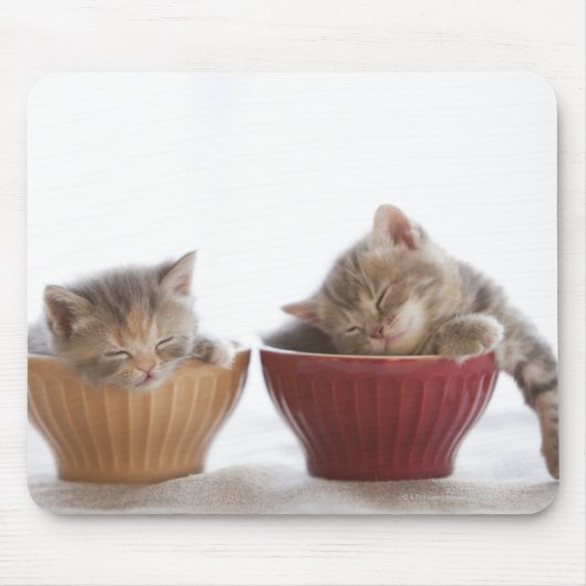 Zwei Kätzchen schlafen in Bowls Mousepad (Vorne)
