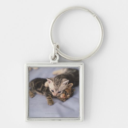 Zwei Kätzchen Schlüsselanhänger (Vorne)