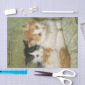 Zwei Kätzchen sitzen auf einem Kissen von Ronner-K Seidenpapier (Handwerk)