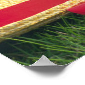 Zwei Kätzchen sitzen auf einem rot gefärbten Blume Poster (Ecke)