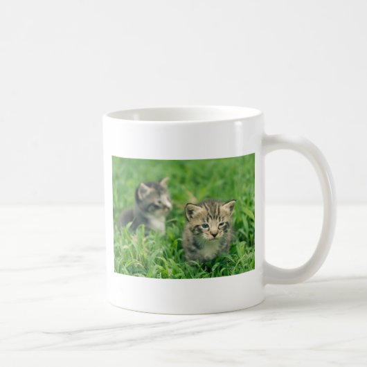 Zwei Kätzchen spielen im Gras Kaffeetasse (Rechts)