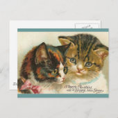 Zwei Kätzchen Weihnachten (Vorne/Hinten)