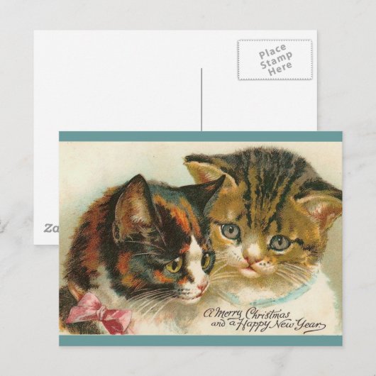 Zwei Kätzchen Weihnachten (Vorne/Hinten)