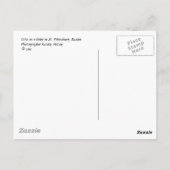 Zwei Katzen auf einem Kamm in St. Petersburg, Russ Postkarte (Rückseite)