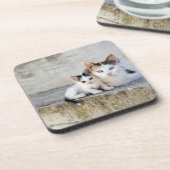 Zwei Katzen auf Steinschritten Getränkeuntersetzer (Linke Seite)