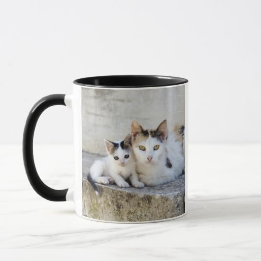 Zwei Katzen auf Steinschritten Tasse (Links)
